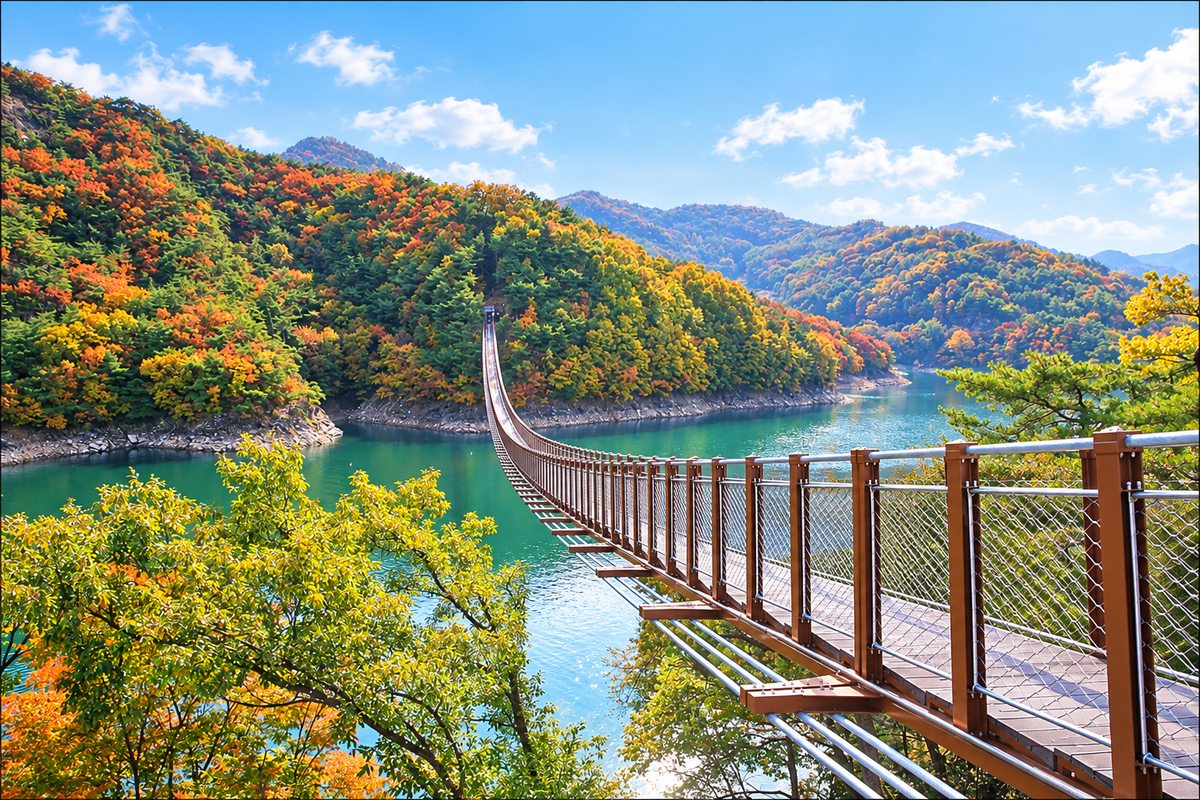 단풍 든 청풍호를 건너는 옥순봉 출렁다리